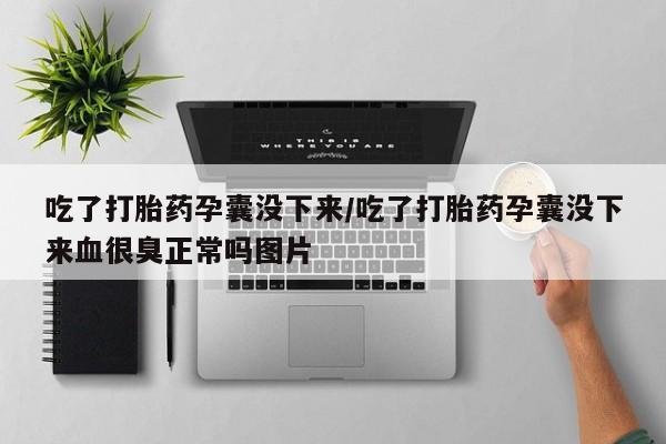 售米非司酮片包邮吃了打胎药孕囊没下来/吃了打胎药孕囊没下来血很臭正常吗图片